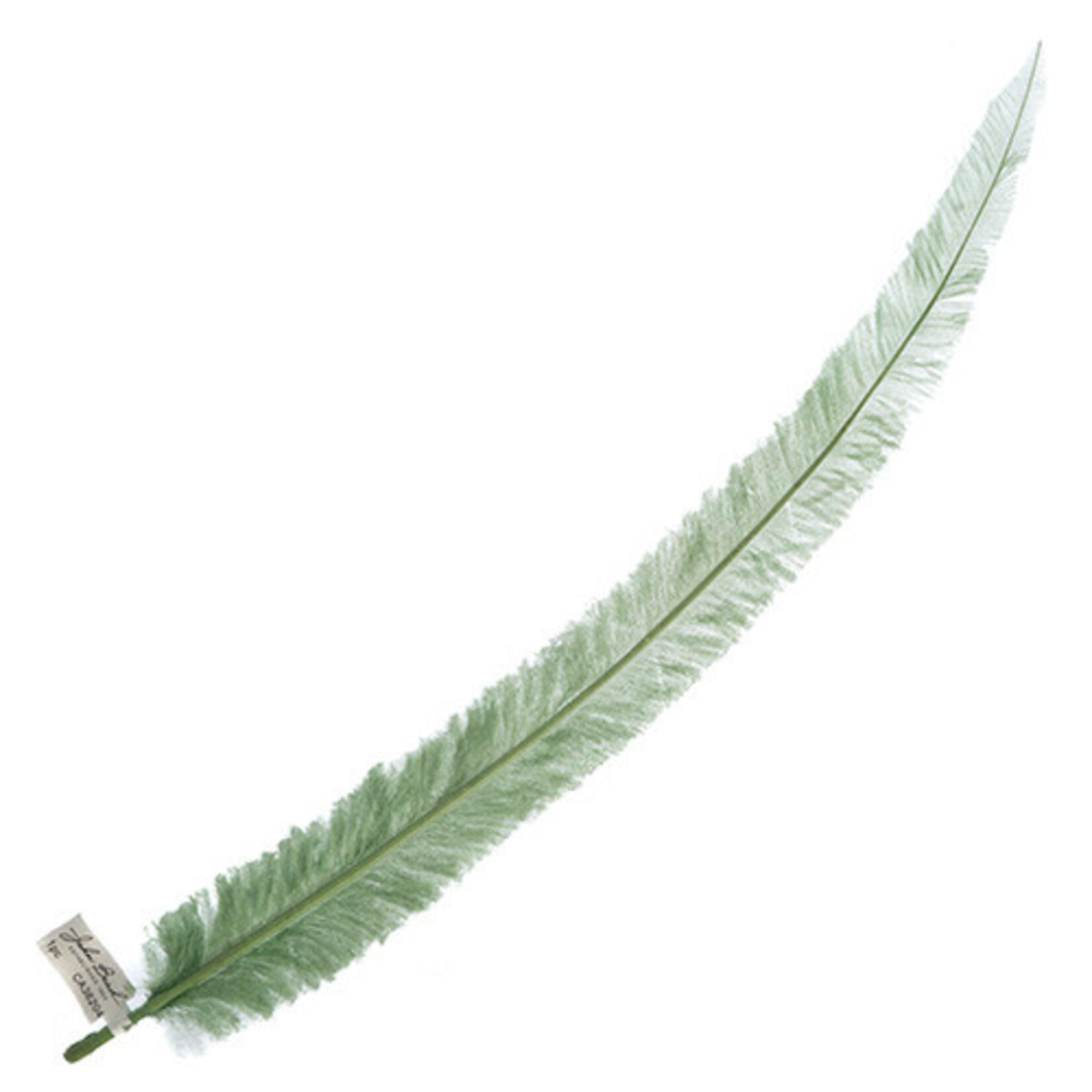 Ostrich Nandu 18-20in (1pc) Seafoam