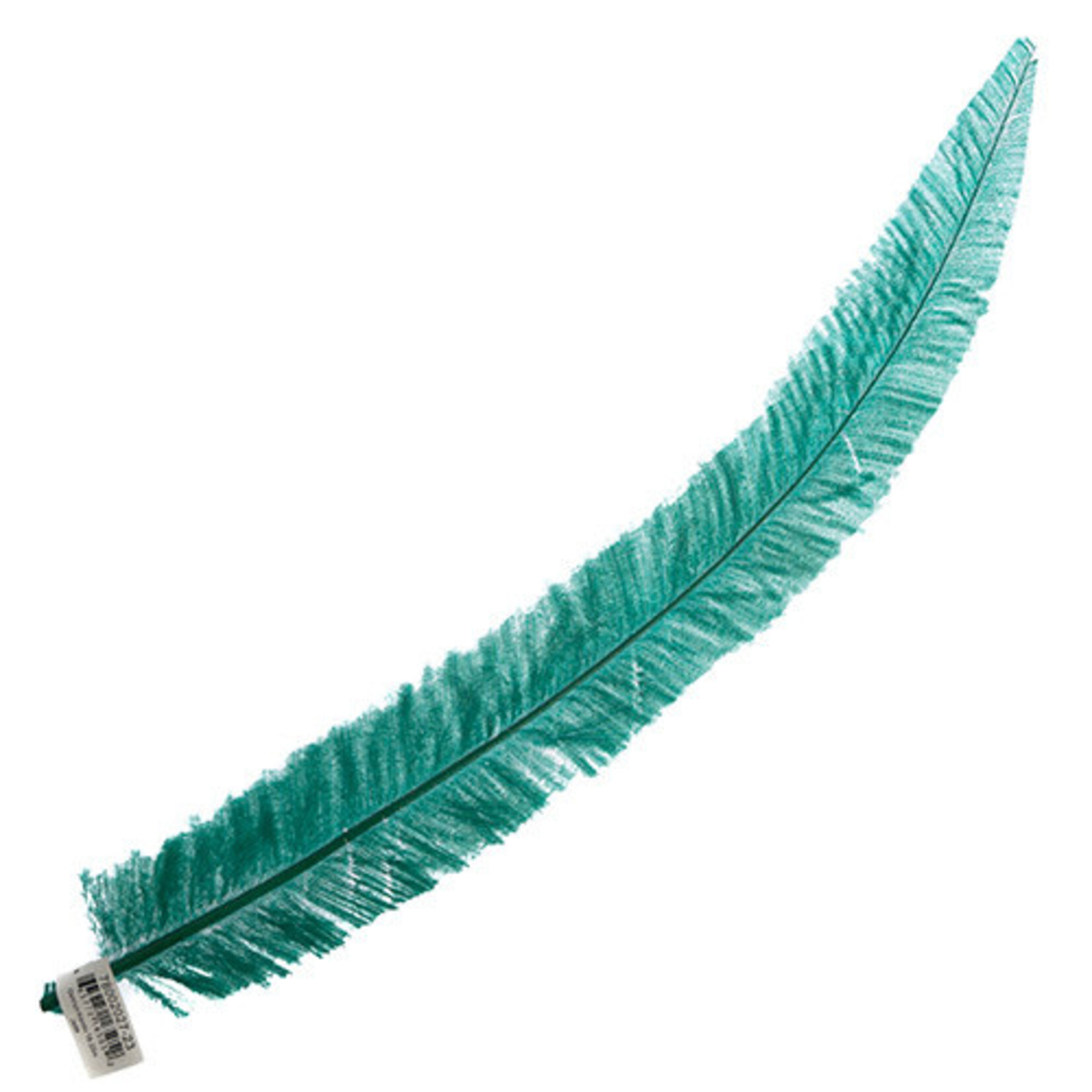 Ostrich Nandu 18-20in (1pc) Jade