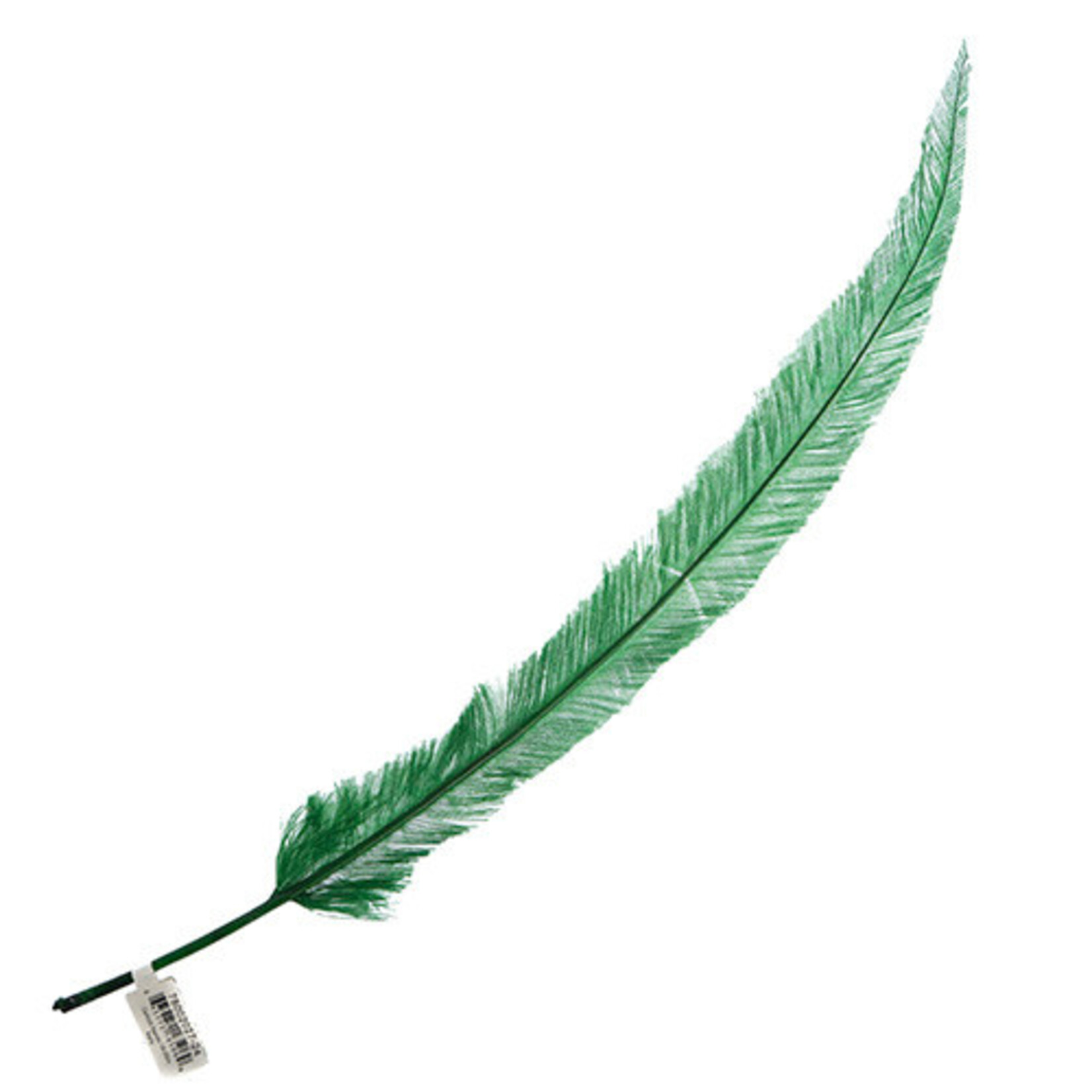 Ostrich Nandu 18-20in (1pc) Kelly