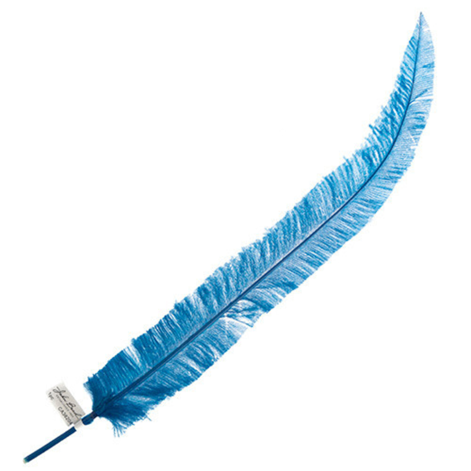 Ostrich Nandu 18-20in (1pc) Electric Blue