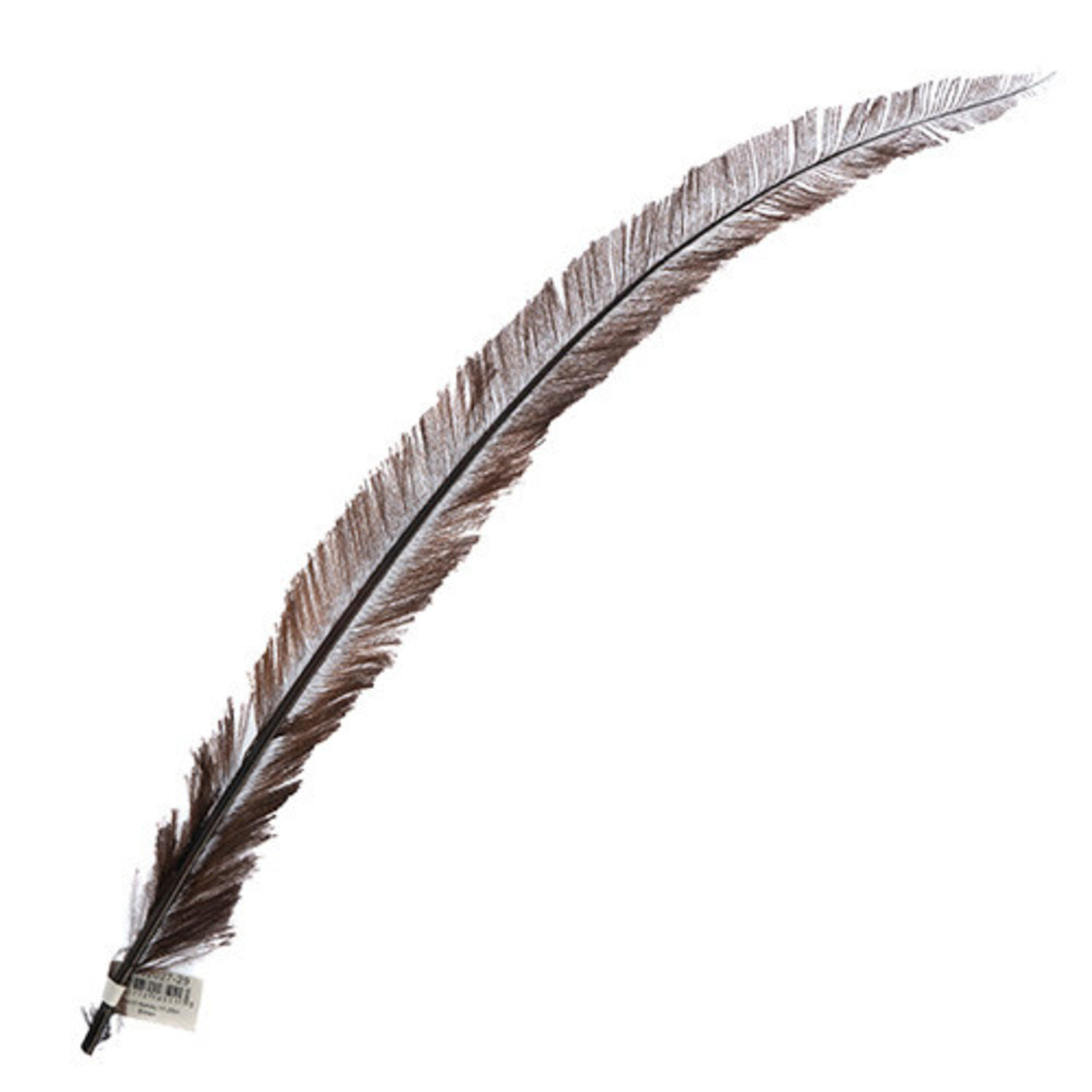 Ostrich Nandu 18-20in (1pc) Brown