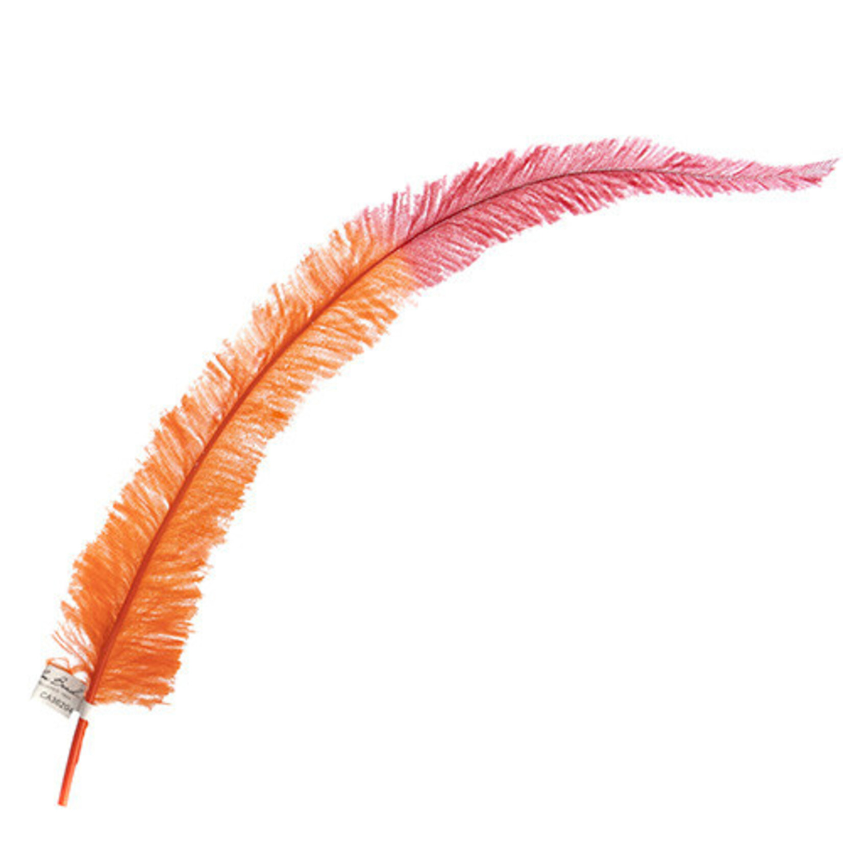 Ostrich Nandu 22-24in Two Tone Coney Island