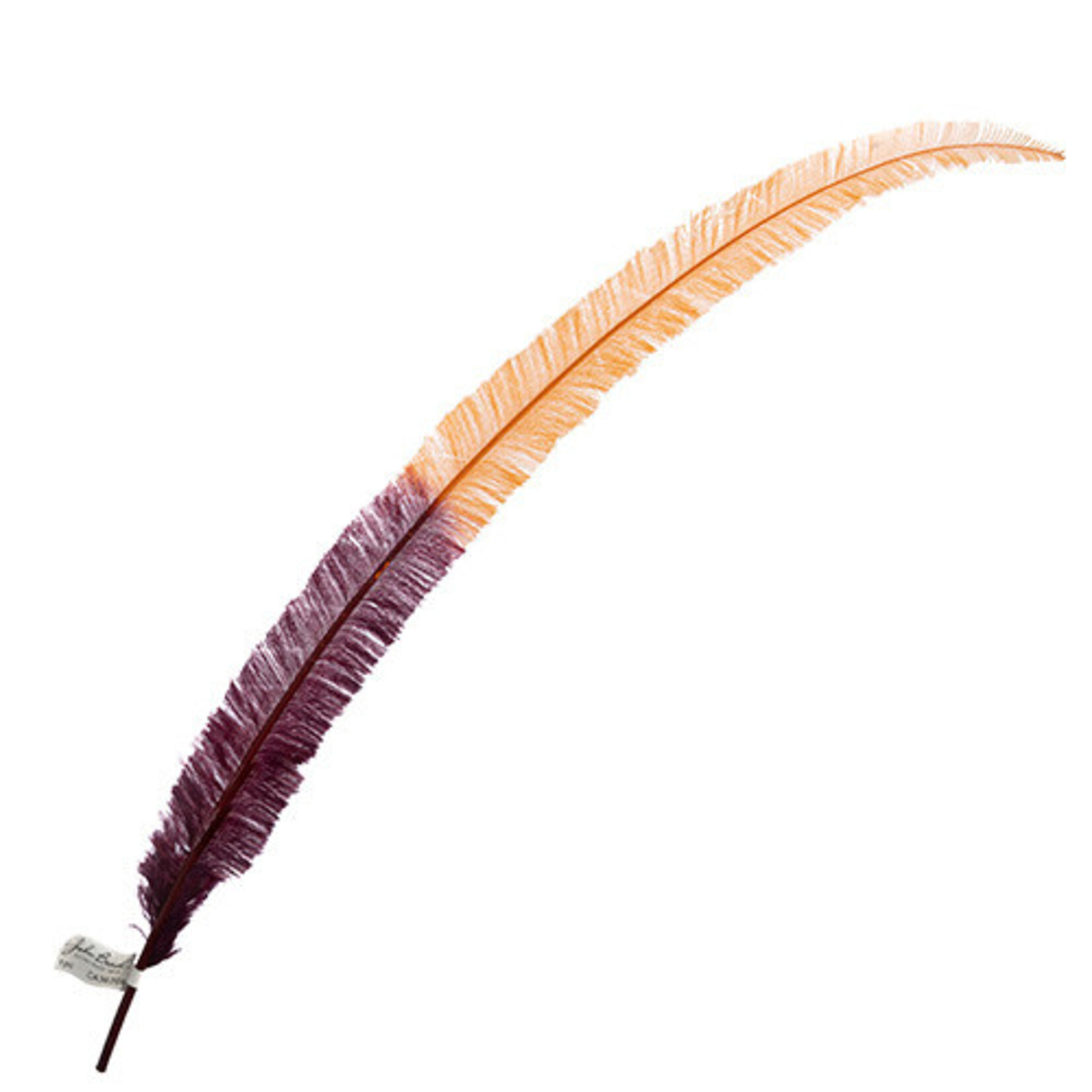 Ostrich Nandu 22-24in Two Tone Nappa Valley