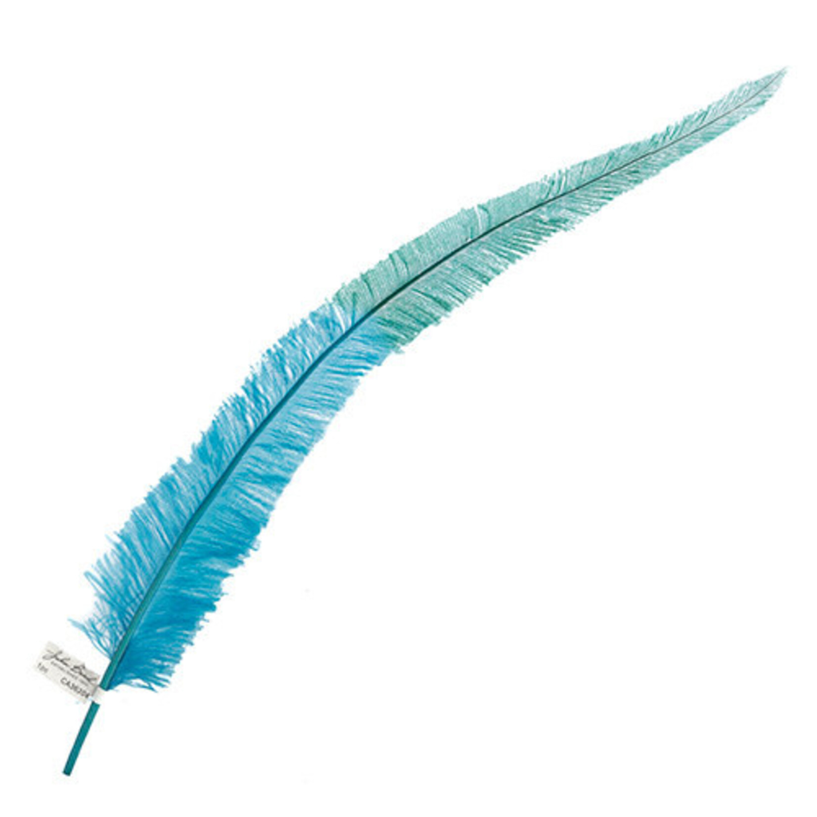 Ostrich Nandu 22-24in Two Tone PEI Shore