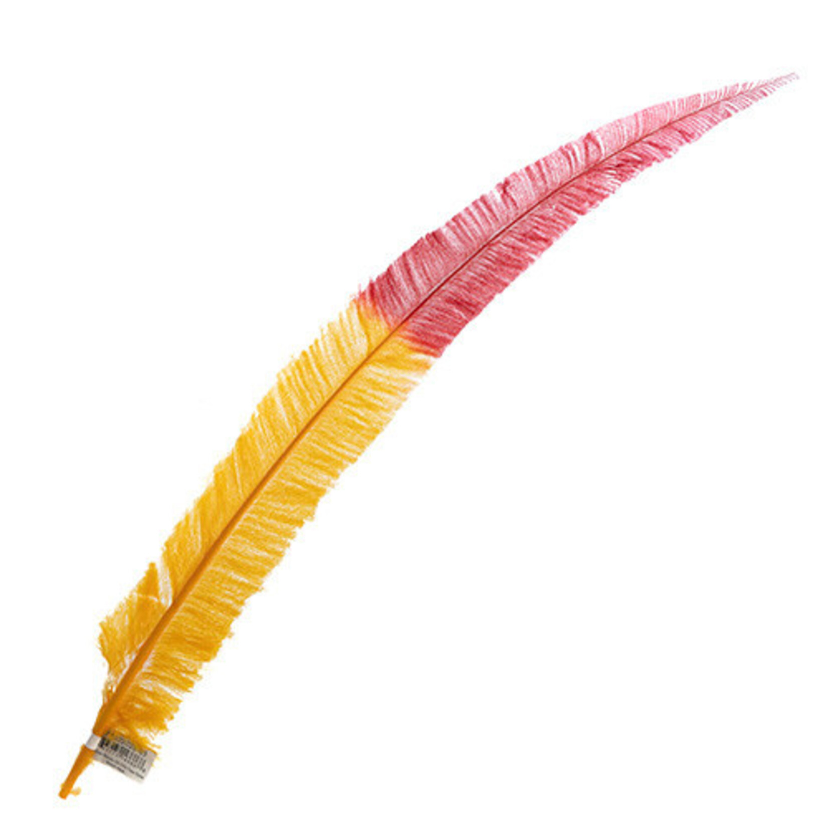 Ostrich Nandu 22-24in Two Tone Miami Heat