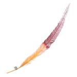 Ostrich Nandu 22-24in Two Tone L.A Vibe