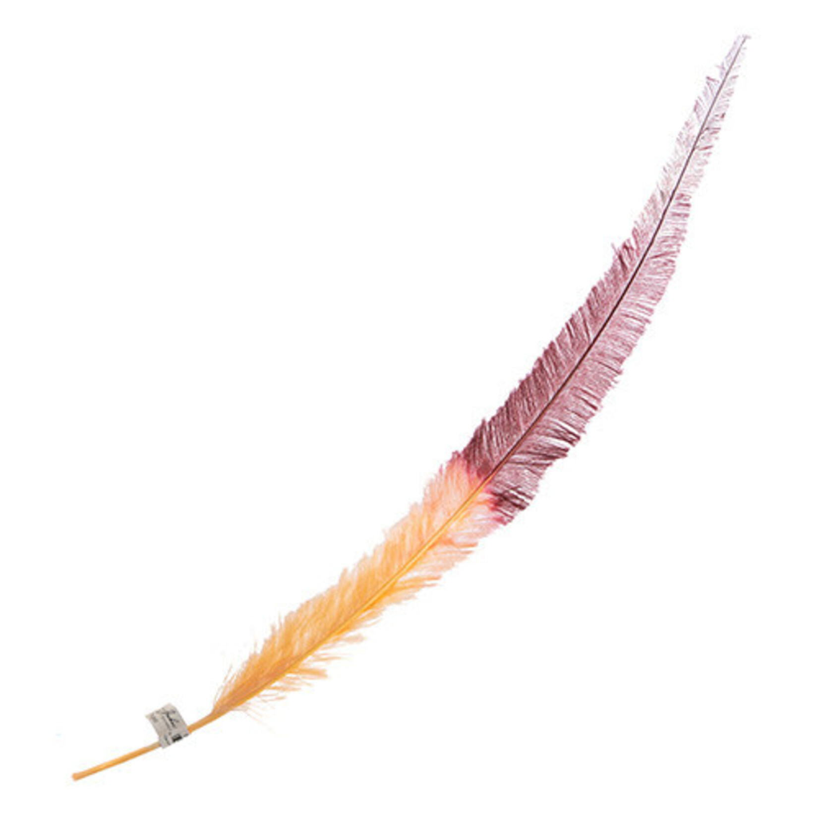 Ostrich Nandu 22-24in Two Tone L.A Vibe