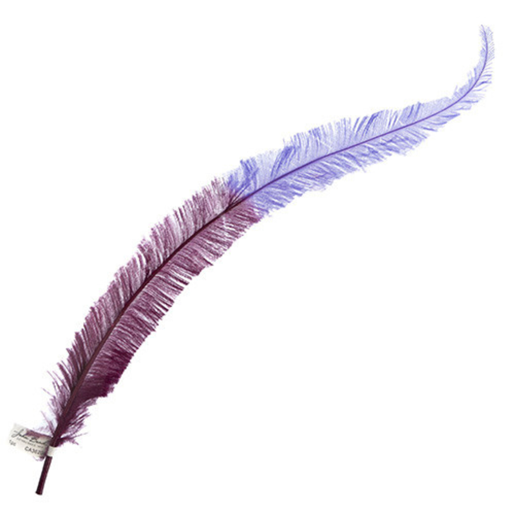 Ostrich Nandu 22-24in Two Tone Purple Flare