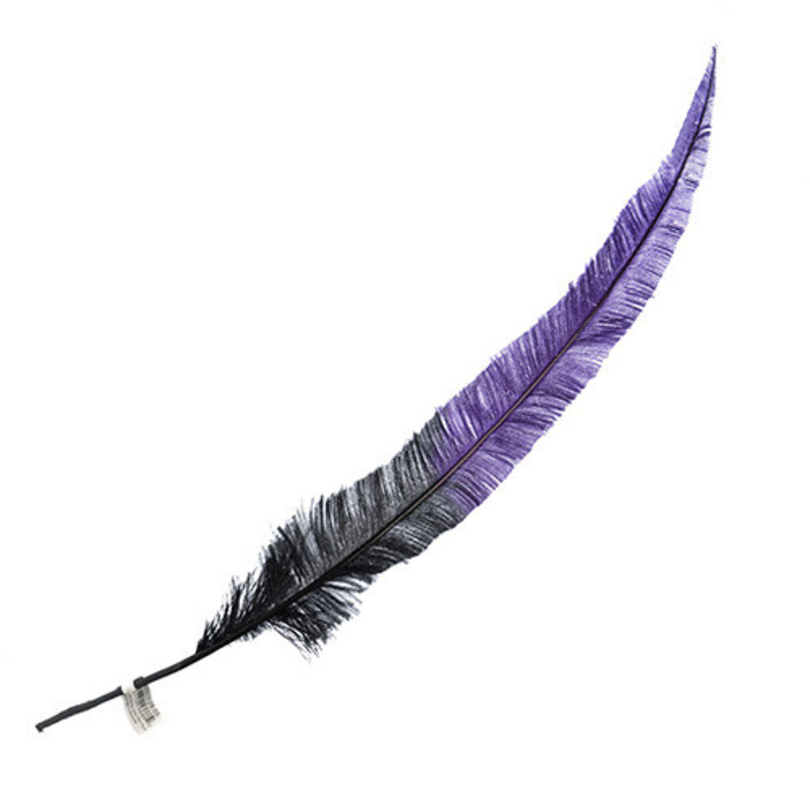 Ostrich Nandu 22-24in Two Tone Midnight in Moscow