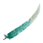 Ostrich Nandu 22-24in Two Tone Emerald  City