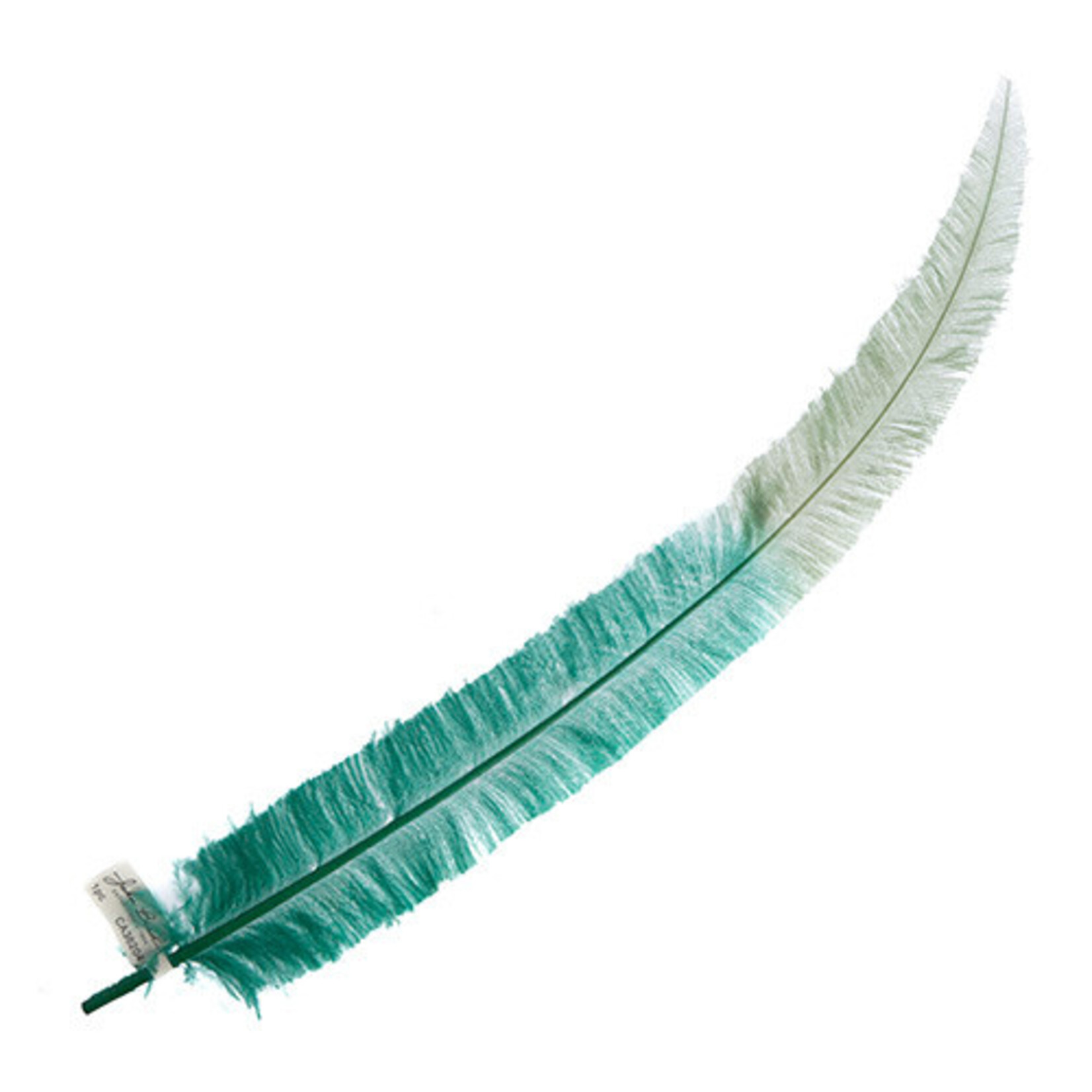 Ostrich Nandu 22-24in Two Tone Emerald  City