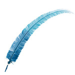 Ostrich Nandu 22-24in Two Tone Sky/Ocean