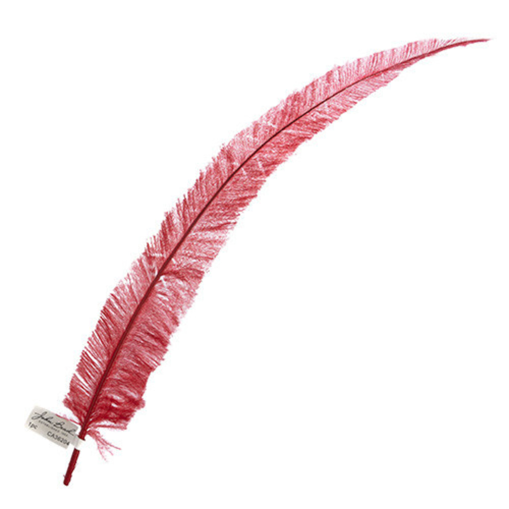 Ostrich Nandu 18-20in (1pc) Red