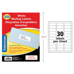 Selectum Mailing Labels 1 x 2 5/8 Inches (300 Labels)