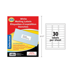 Selectum Mailing Labels 1 x 2 5/8 Inches (300 Labels)