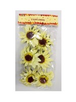 Bridal Party Sash Set 8/Pcs