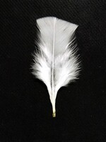 Turkey Flats (Base) 4-7 Inches 1oz White