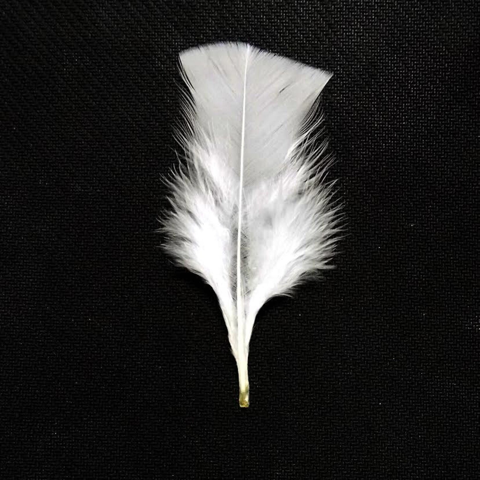 Turkey Flats (Base) 4-7 Inches 1oz White