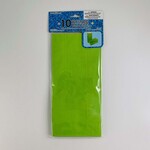 PAPER TREAT BAGS 10PCS APPLE GREEN