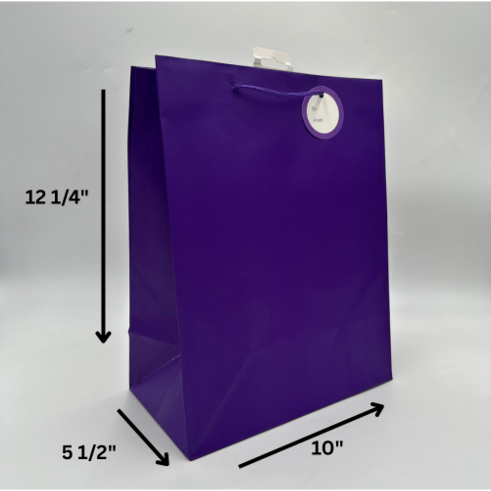 SOLID COLOR LGE GIFT BAG; MATTE PURPLE