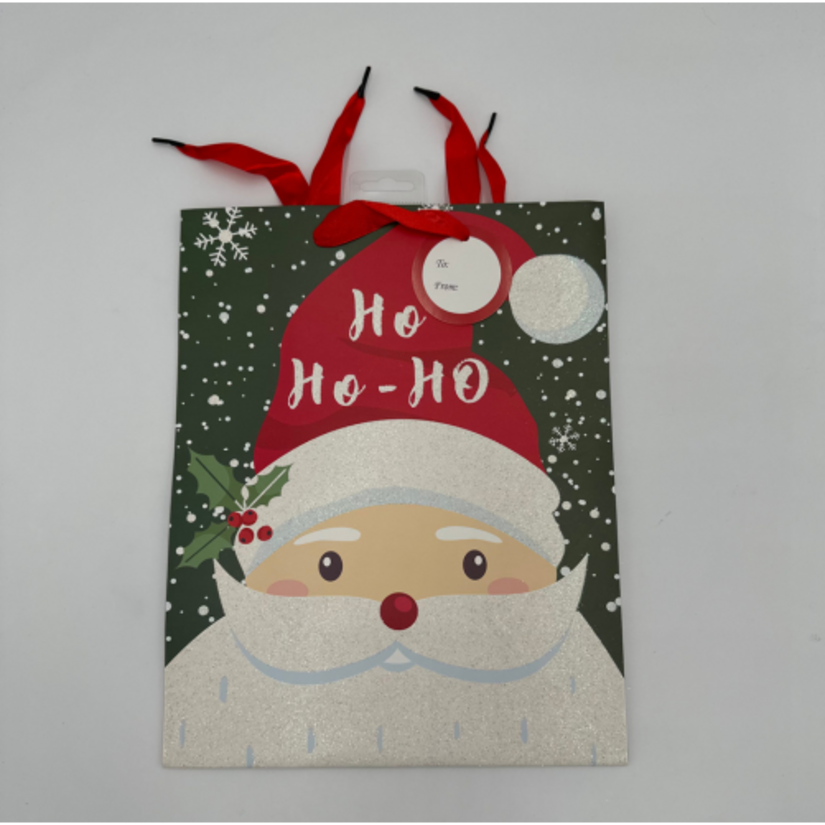 CHRISTMAS LGE GLITTERED BAG SANTA