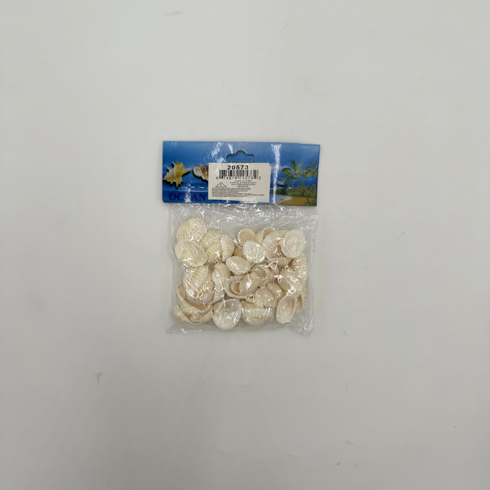 DECORATIVE SHELL 100 GRAM