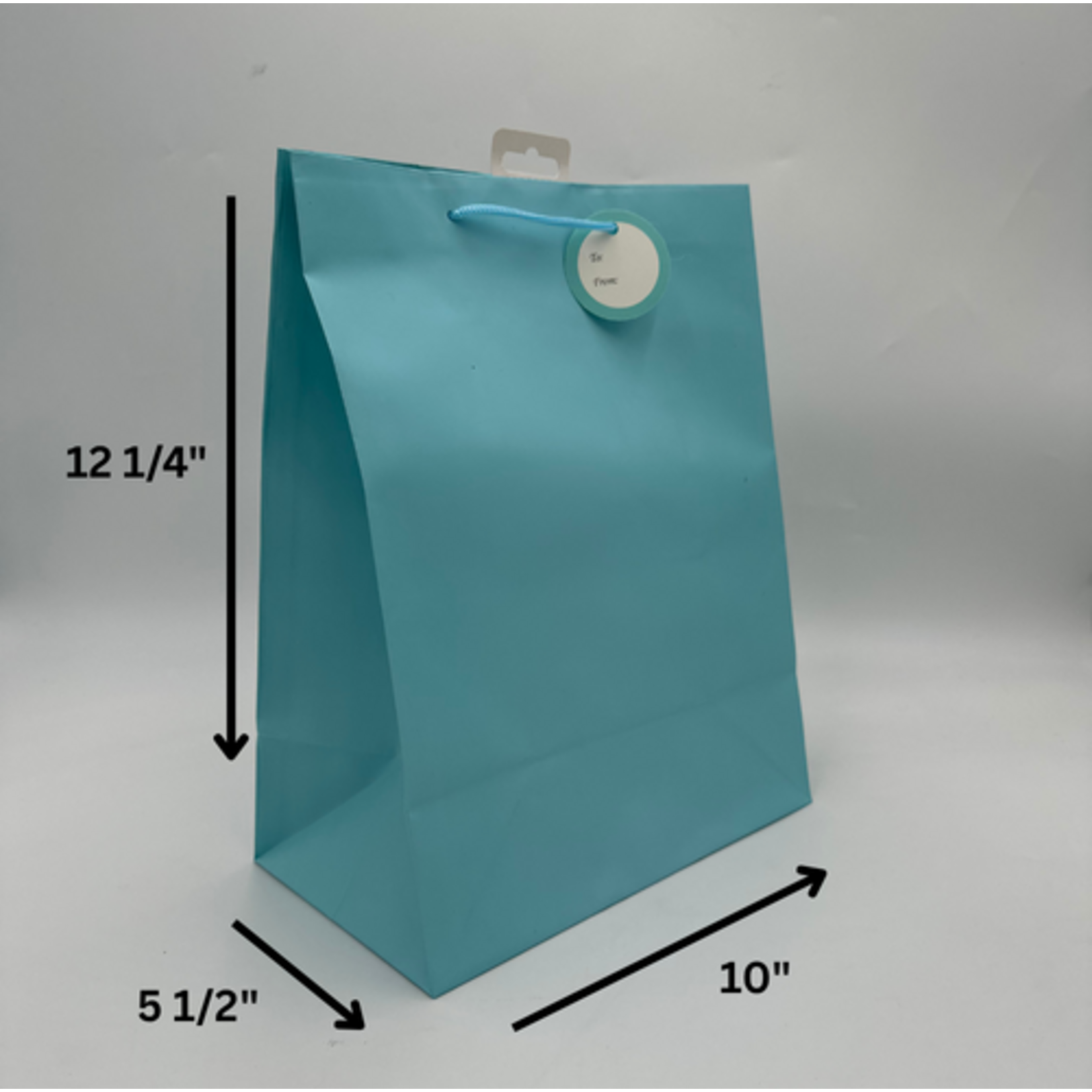 SOLID COLOR LGE BAG; MATTE BABY BLUE