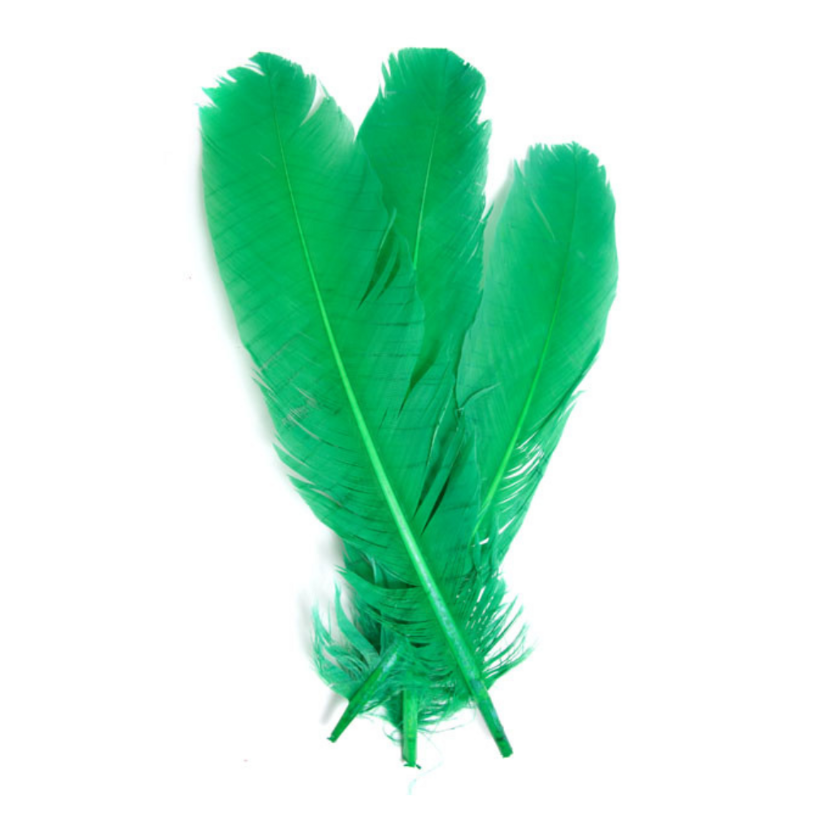 Turkey Quills 6pcs (Left & Right) Green