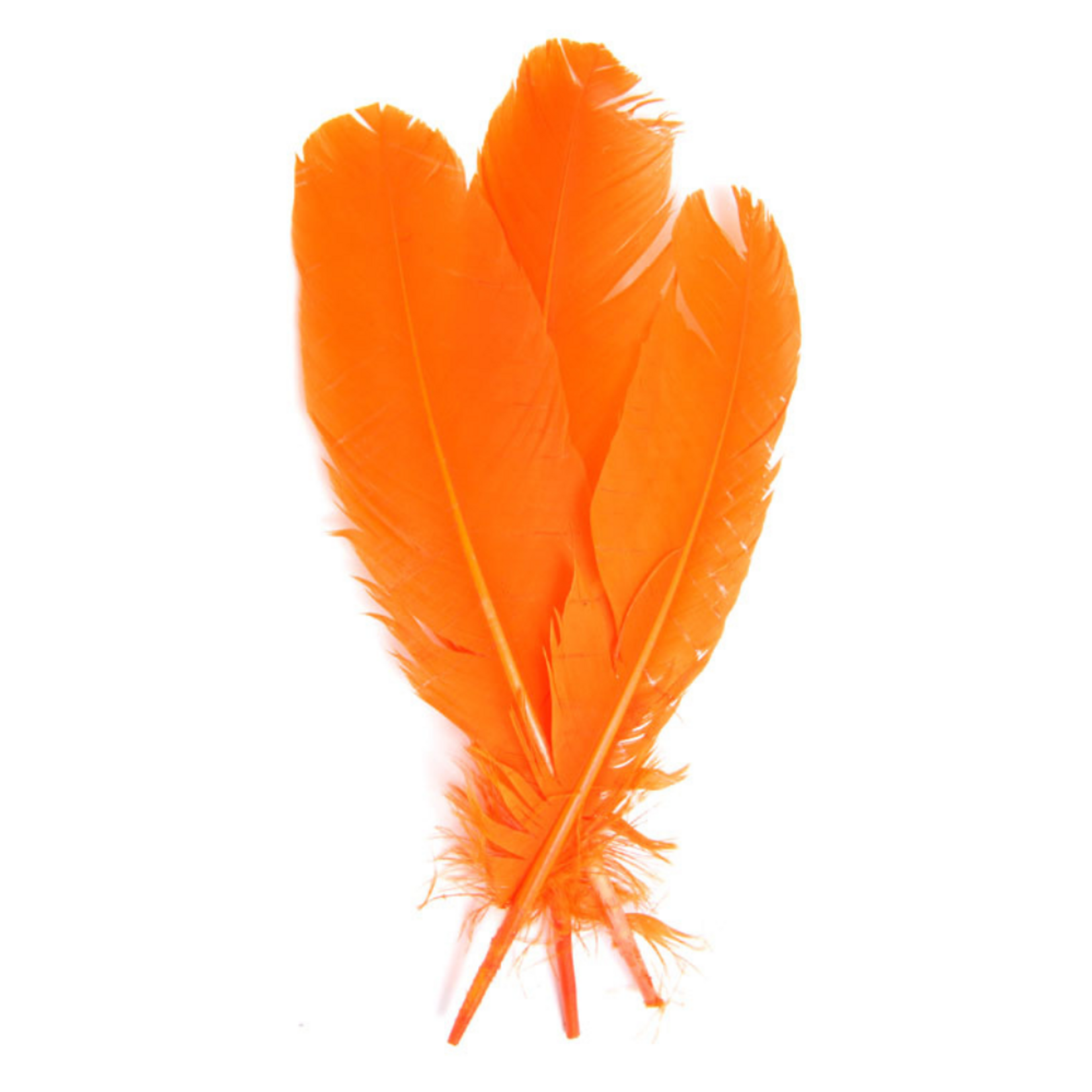 Turkey Quills 6pcs (Left & Right) Orange