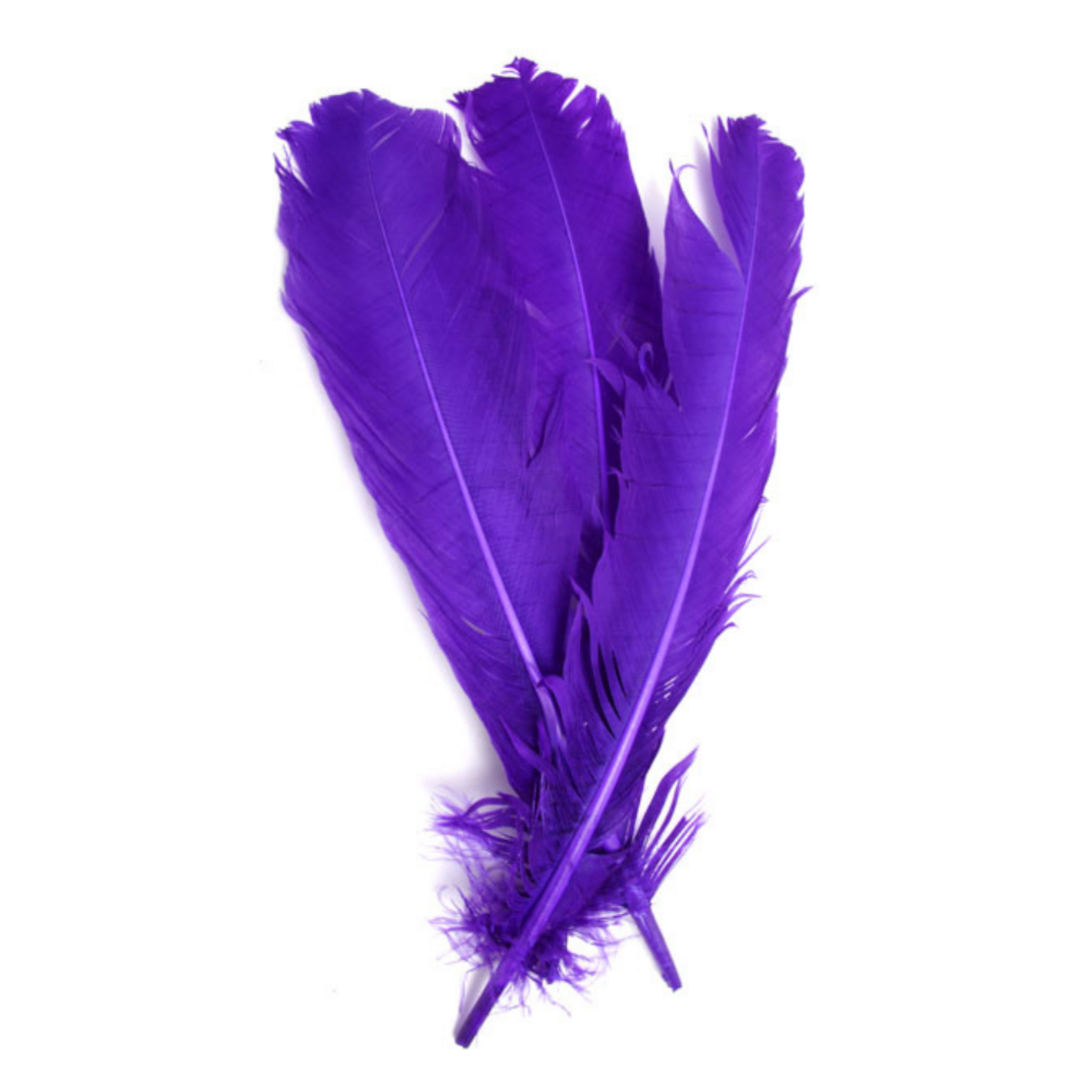 Turkey Quills 6pcs (Left & Right) Purple