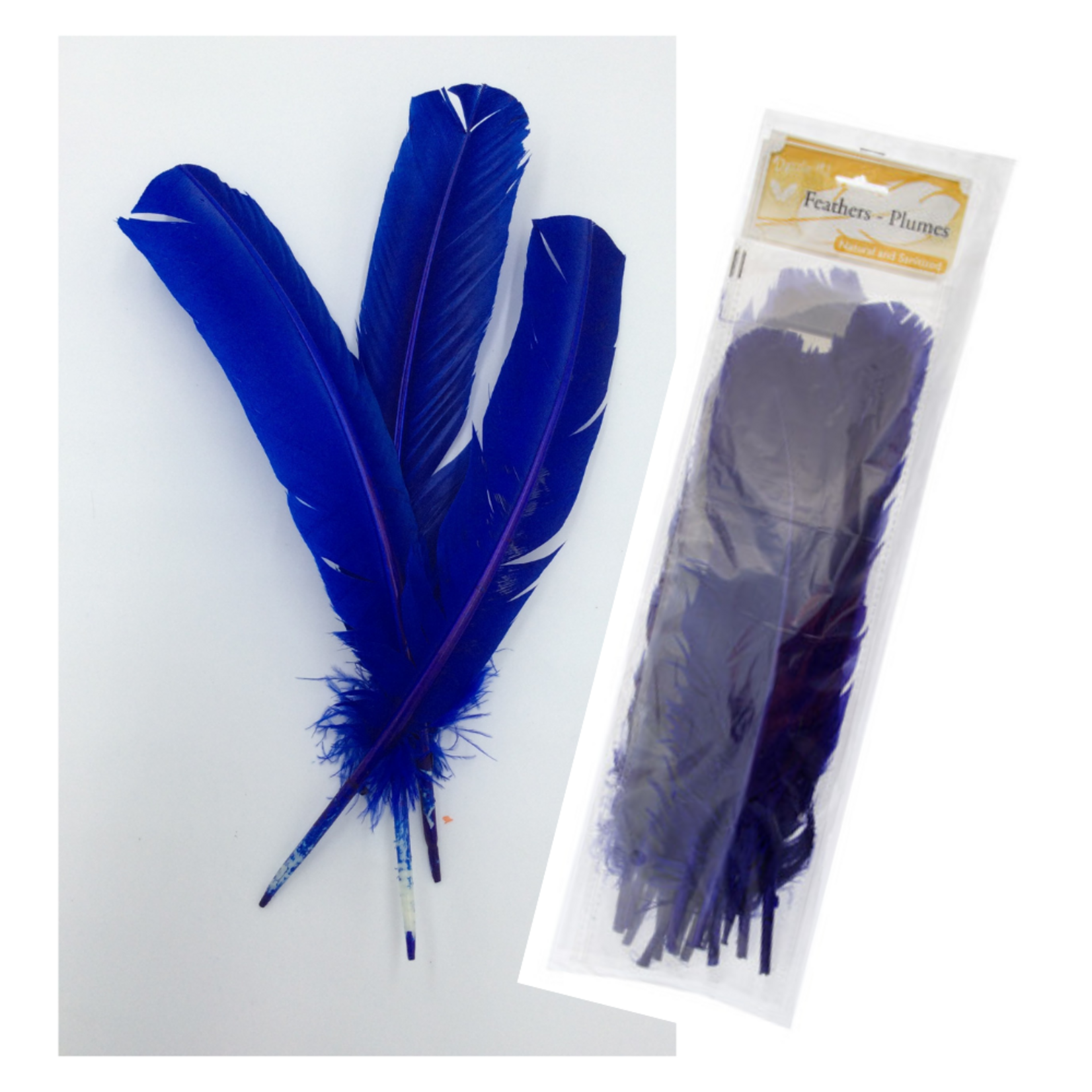 Turkey Quills 6pcs (Left & Right) Royal Blue