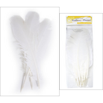 Turkey Quills 6pcs (Left & Right) White