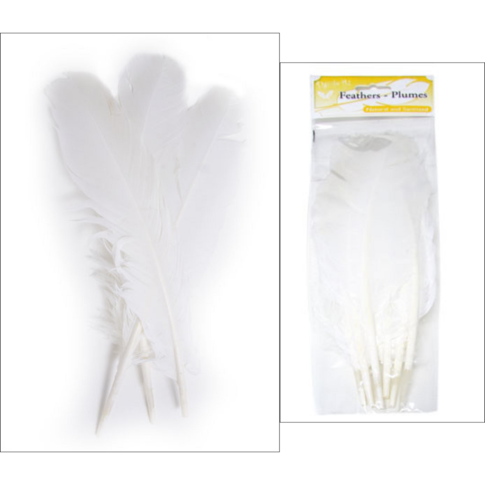 Turkey Quills 6pcs (Left & Right) White