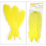 Turkey Quills 6pcs (Left & Right) Yellow