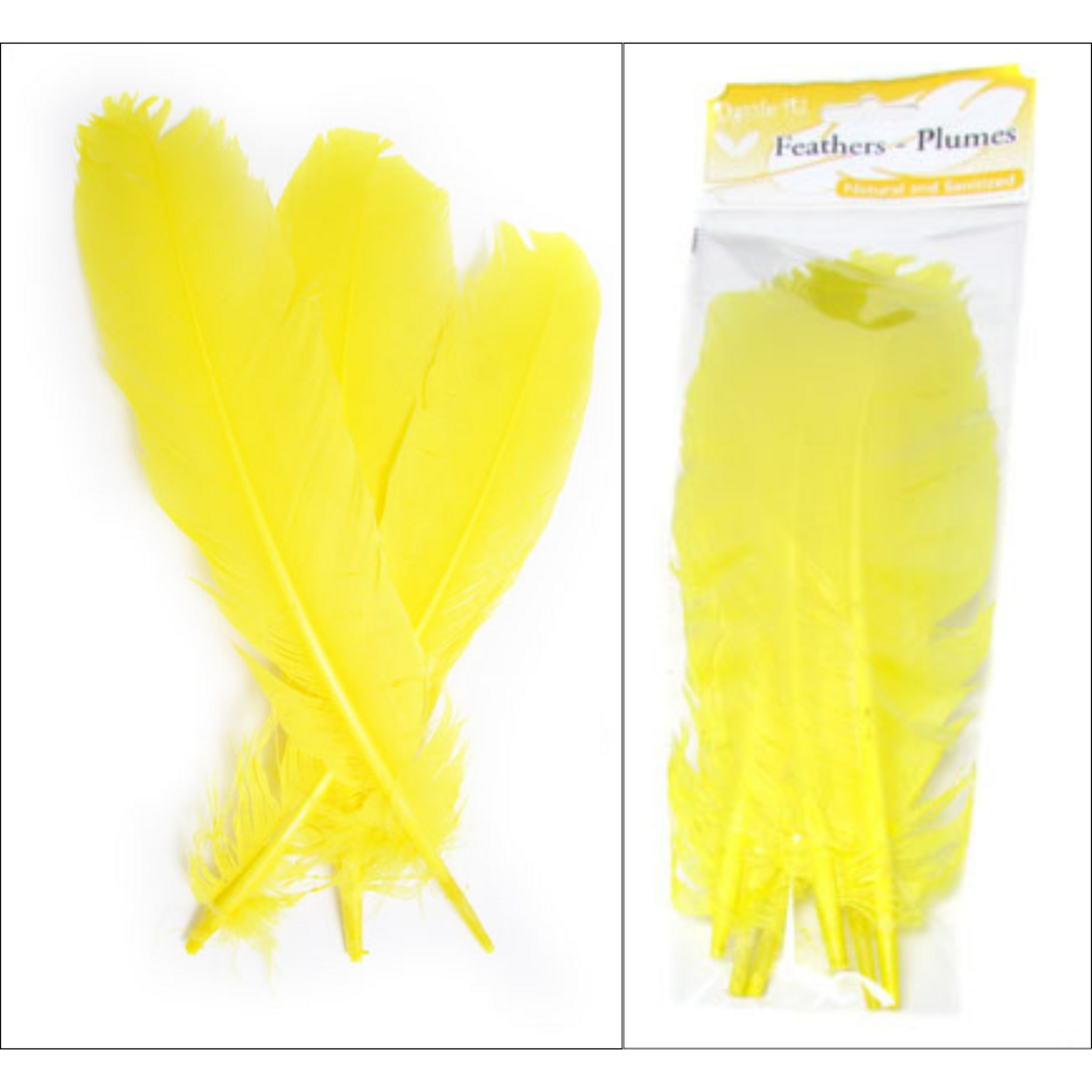 Turkey Quills 6pcs (Left & Right) Yellow