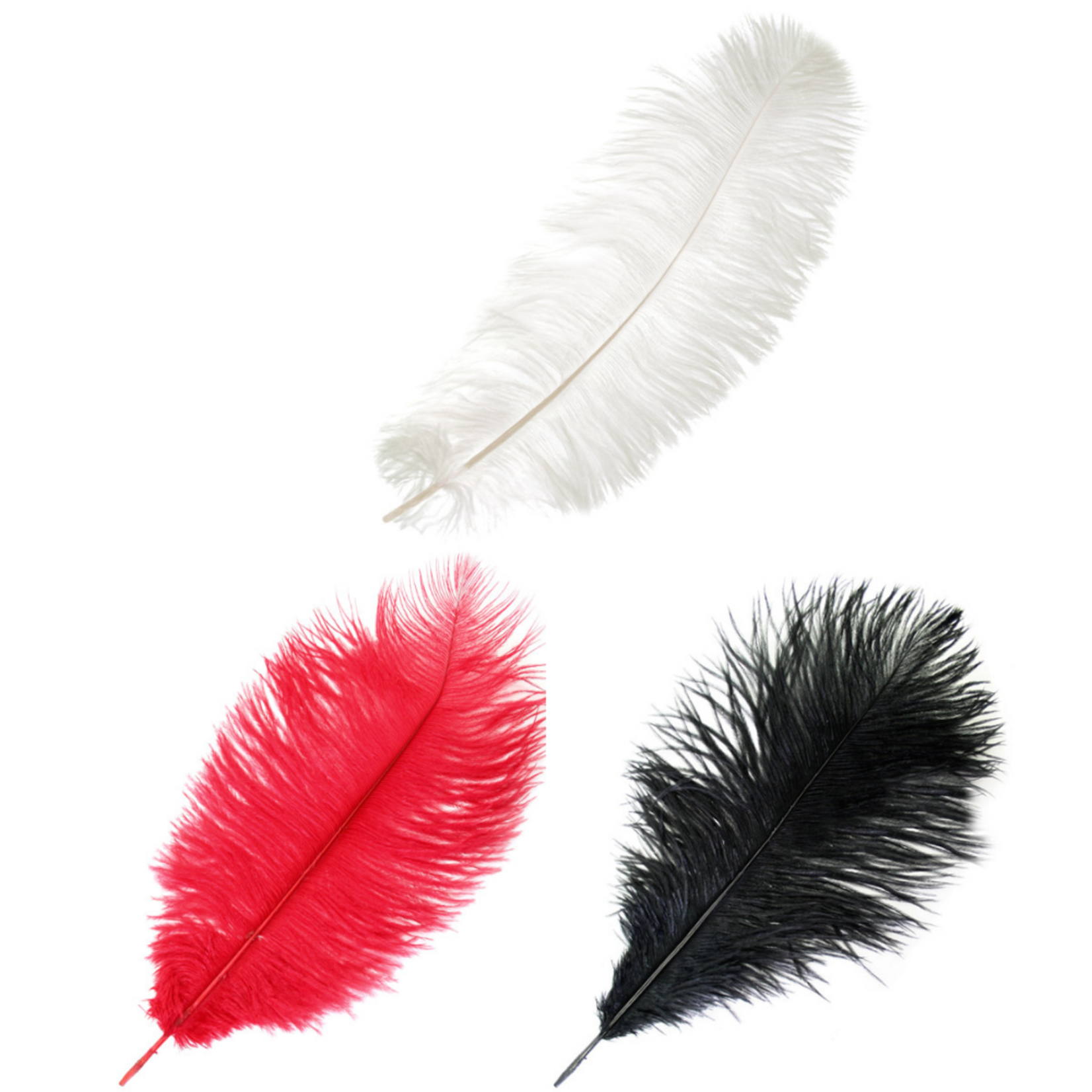 Ostrich Drab Plumes 6-8 Inch (12 pieces)  Red/White/Black
