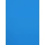 Body Paint Non-Toxic  (3.785lt) Gallon  Blue