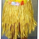Juvenile Luau Raffia Skirt W/Flowers Gold 24X17 Inches