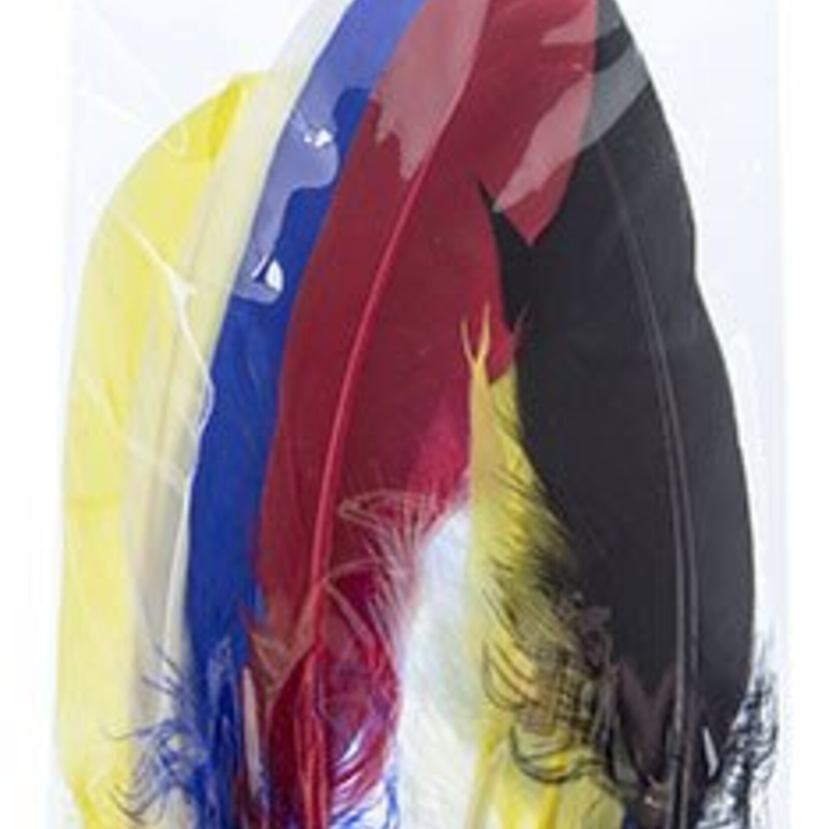 Goose Feathers 5-6 Inches Assorted Colours (10 Pieces)