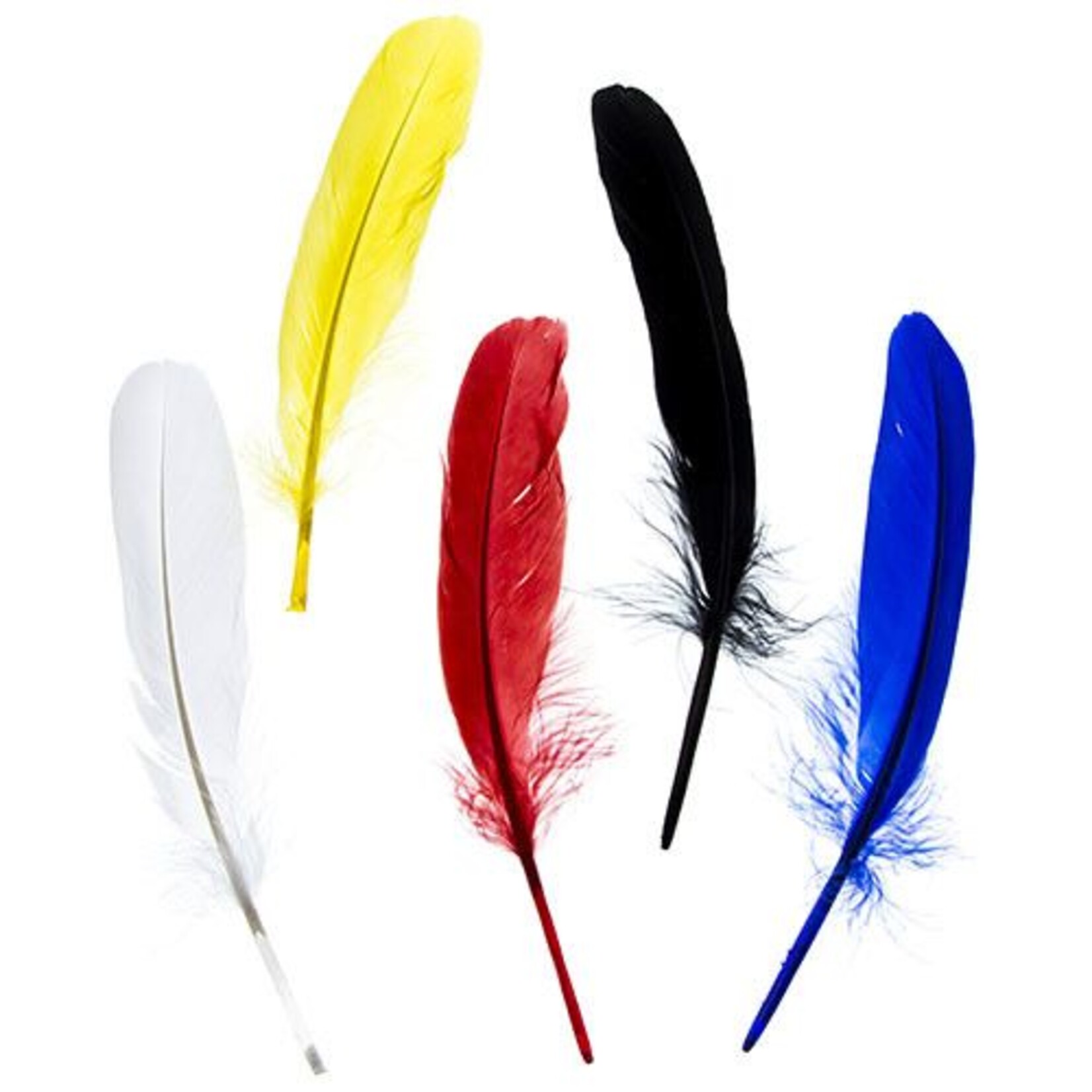 Goose Feathers 5-6 Inches Assorted Colours (10 Pieces)
