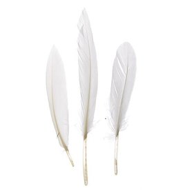 Duck Wing Quill (24Pcs)