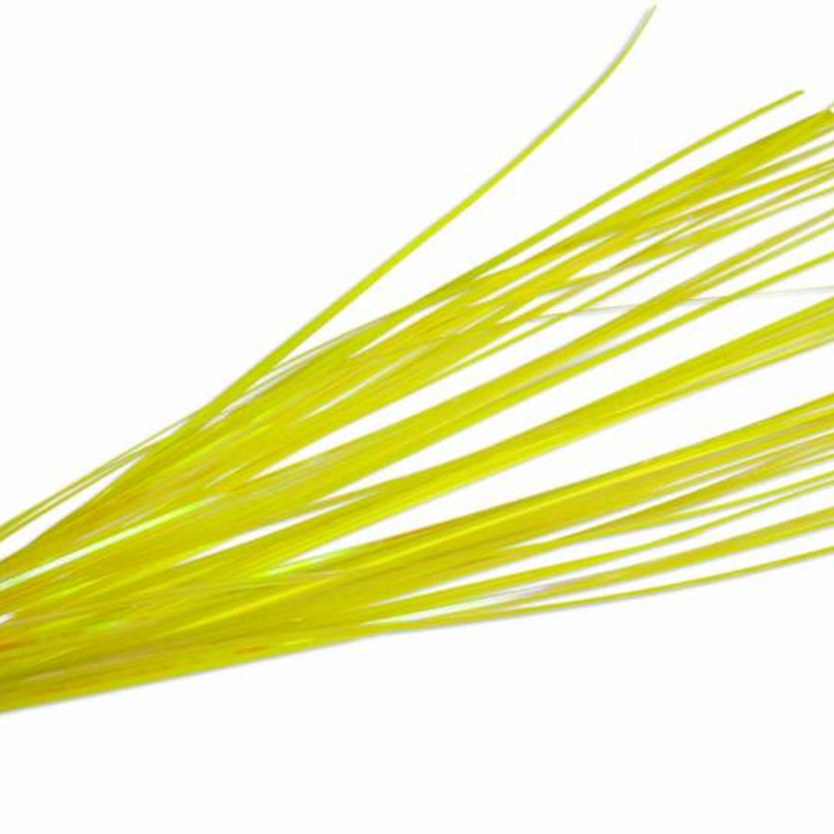 Onion Grass (Pack) 19 Inches