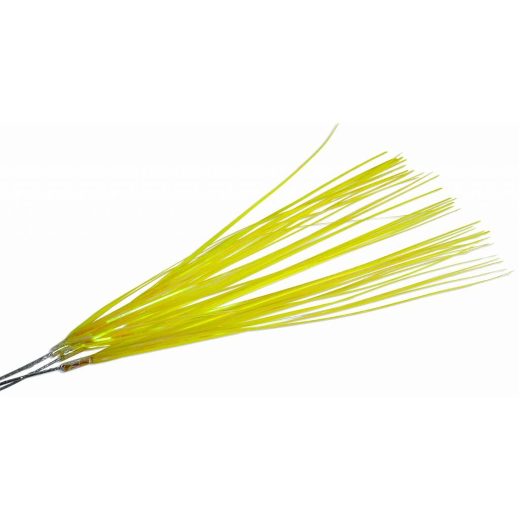 Onion Grass (Pack) 19 Inches