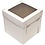 Sweet Carrier CBX 12 x 12 x 8 W/CLEAR TOP