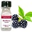 LORANN OILS BLACKBERRY LORANN 1 FL DRAM