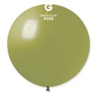 Gemar GM- 098 GRN OLIVE 31 IN