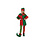 Rubies ELF LUTIN