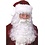 Fun World SANTA BEARD W/WIG SET