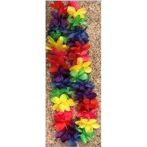 SPIRIT LEI RAINBOW 6PK