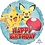 Anagram HX POKEMON HBD - FLT